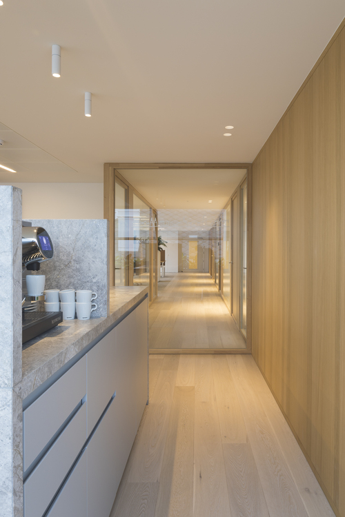 Family_holon40fix_1.jpg